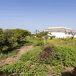 Live Adeje Taucho Relax Place With Terrace