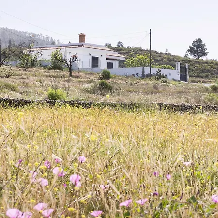 Σπίτι διακοπών Live Adeje Taucho Relax Place With Terrace