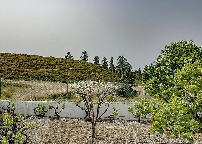 Live Adeje Taucho Relax Place With Terrace Casa vacanze *